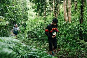 BIB: 
                            <button type="button" onclick="openModal(26405328)" class="btn btn-primary btn-sm float-right btn-popup" data-toggle="modal" data-target=".modal-high-quality">
                        <i class="fas fa-shopping-cart"></i> Add to Cart
                    </button>
                                            <button type="button" onclick="isThisMe(26405328, true)" class="btn btn-success btn-sm float-right btn-popup btn-isme hidden" data-toggle="tooltip" data-placement="bottom" title="นี่คือรูปของคุณใช่ไหม คลิกที่นี่เพื่อเอาเข้าอัลบั้ม">
                        <i class="fas fa-plus"></i> Add to album
                    </button>
                    <button type="button" onclick="isThisMe(26405328, false)" class="btn btn-warning btn-sm float-right btn-popup btn-isnotme hidden">
                        <i class="fas fa-ban"></i> Remove from album
                    </button>